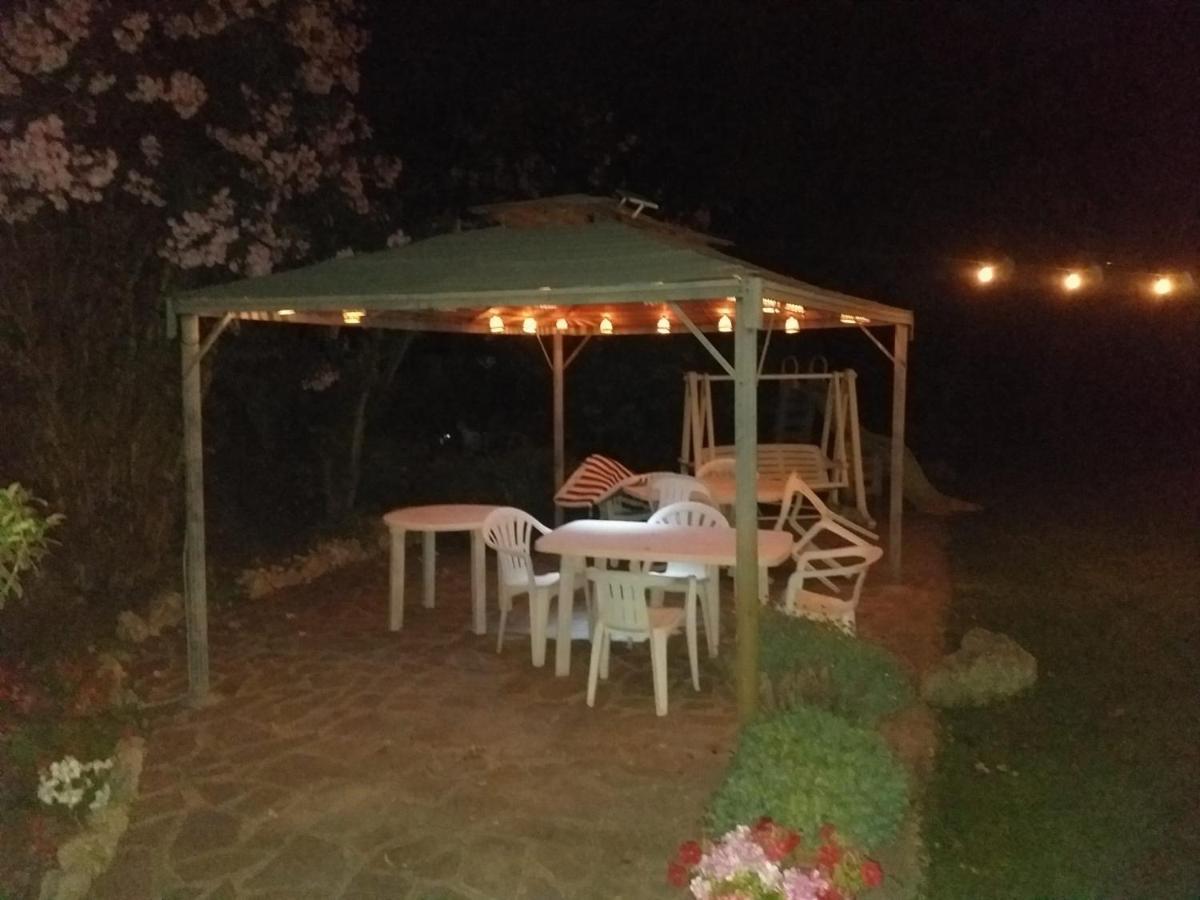 Garden Basement - Seminterrato Max 4 Ospiti - Fiumicino Vicino Aeroporto E Fiera Apartamento Exterior foto