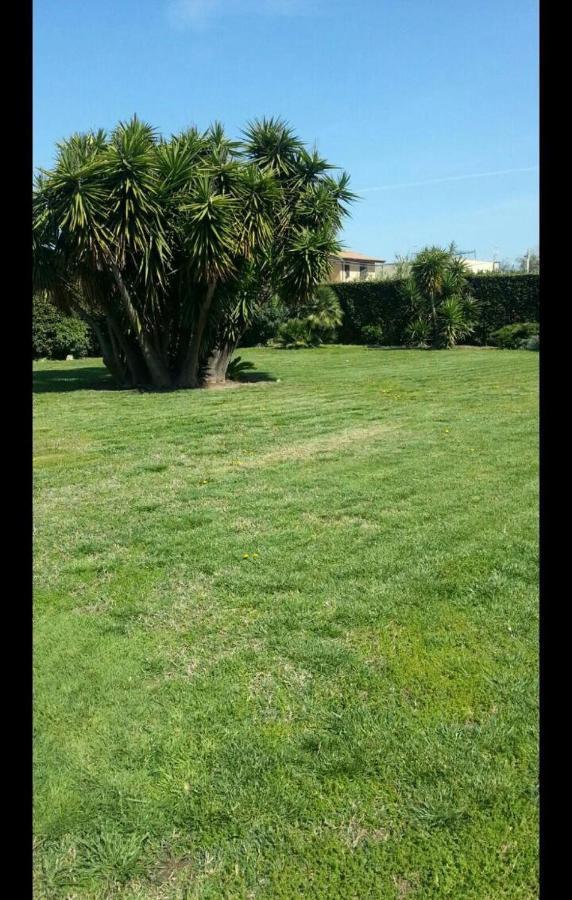 Garden Basement - Seminterrato Max 4 Ospiti - Fiumicino Vicino Aeroporto E Fiera Apartamento Exterior foto
