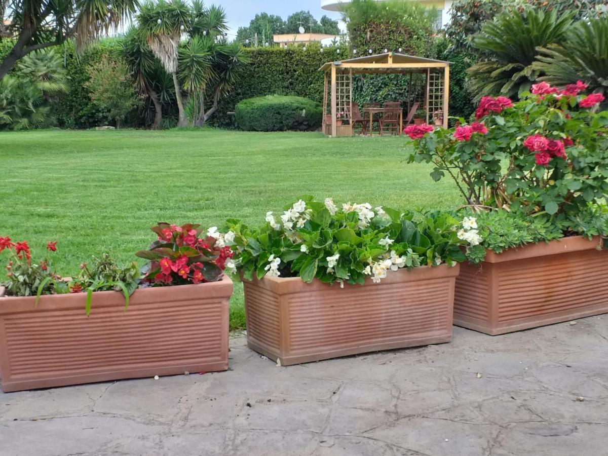 Garden Basement - Seminterrato Max 4 Ospiti - Fiumicino Vicino Aeroporto E Fiera Apartamento Exterior foto